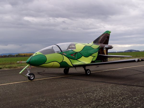 FLS007_P1010076-1.JPG
